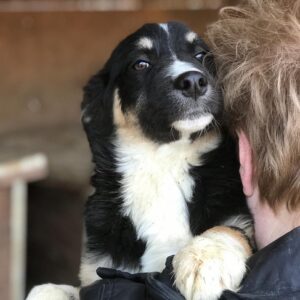 MANGO - reserviert Sasi vermittelt