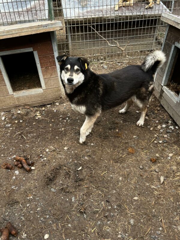JANNY (♀) – Bild 3