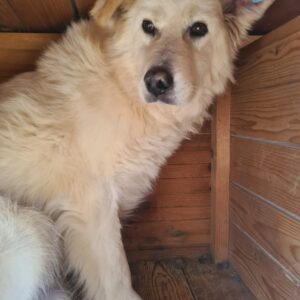 KAY - vermisst 04/2023