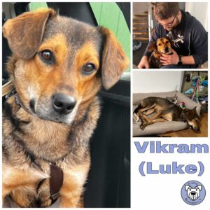 Vikram (Luke) in 25451 Quickborn