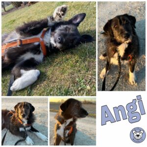 Angi in 93102 Pfatter *vermittelt*