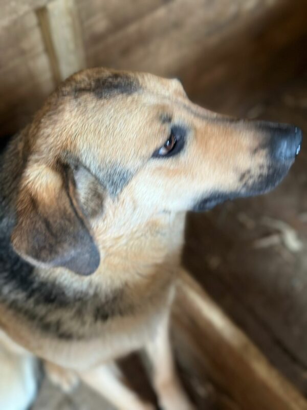 HEARTBEAT (♀) – Bild 9