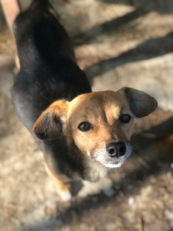 PIXIE - RBB 05/2022