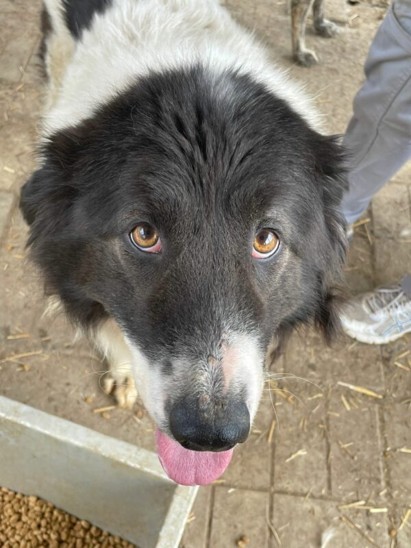 MAGGY (♀) – Bild 6