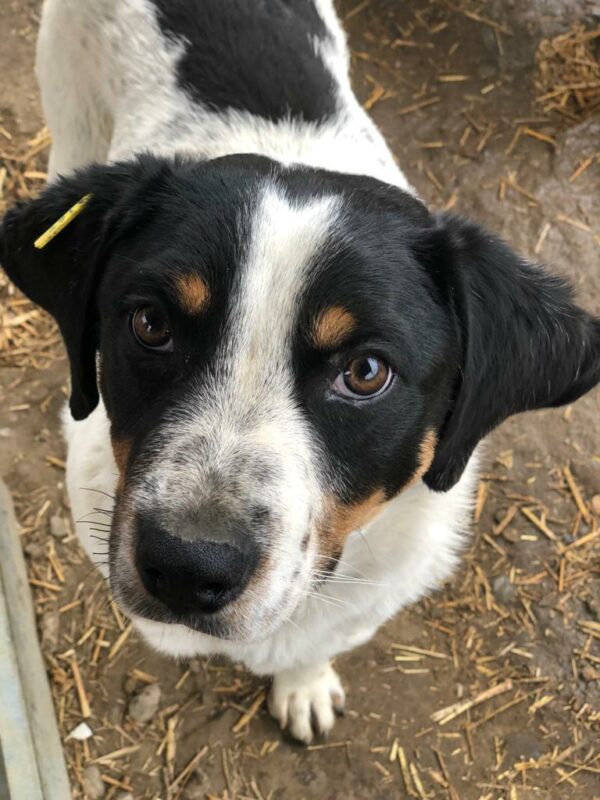 TUCKER reserviert (Betty 14/09) vermittelt