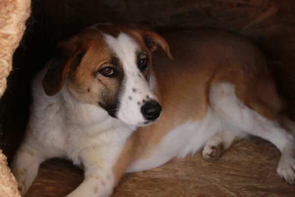 MALENA - RBB 08/24 – Bild 5
