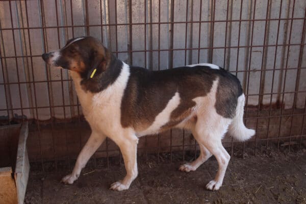 HUDSON – Bild 6