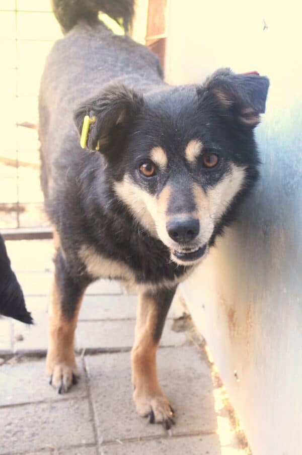MALUHA (♀) – Bild 11