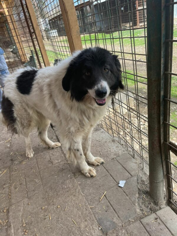 MAGGY (♀) – Bild 7