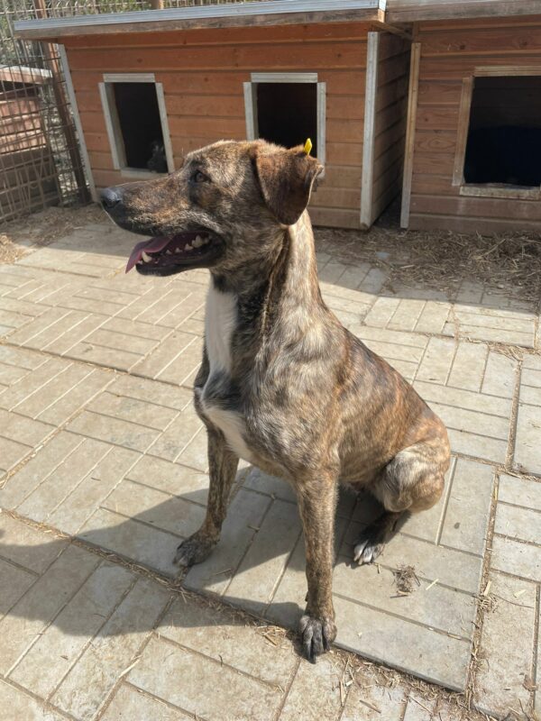 CLAIRE (♀) - RBB 07/2025 – Bild 19