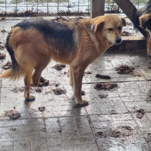 TINE - vermisst 12/22