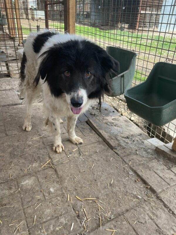 MAGGY (♀) – Bild 8