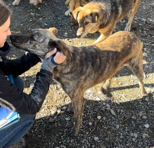 CLAIRE (♀) - RBB 07/2025 – Bild 14