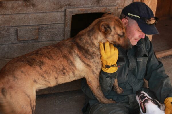 MAIKE - reserviert PVA vermittelt – Bild 4