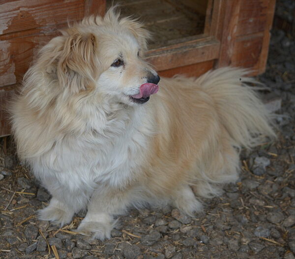 BENCY - RBB 07/2022 – Bild 2