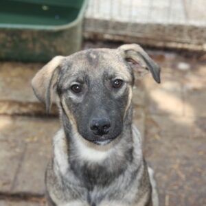 SPACER - reserviert MG vermittelt