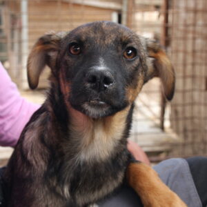 KISSY - reserviert NadineH vermittelt