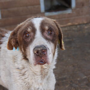 FRIEDRICH - reserviert Manuela (12/07) - RBB 15.07.2022