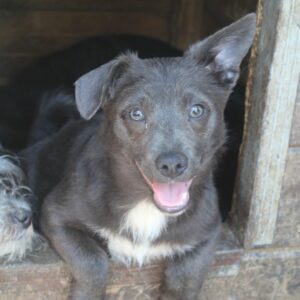 FIENE - reserviert TH Filderstadt vermittelt