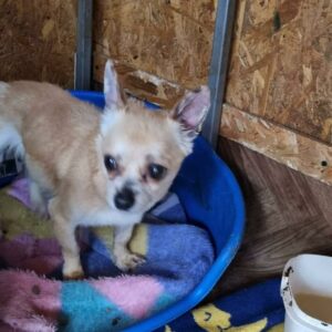 CARLA - reserviert THL - RBB 06/2022