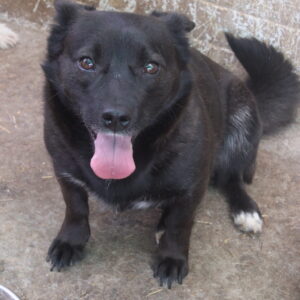 ODETTE - reserviert TH Filderstadt vermittelt