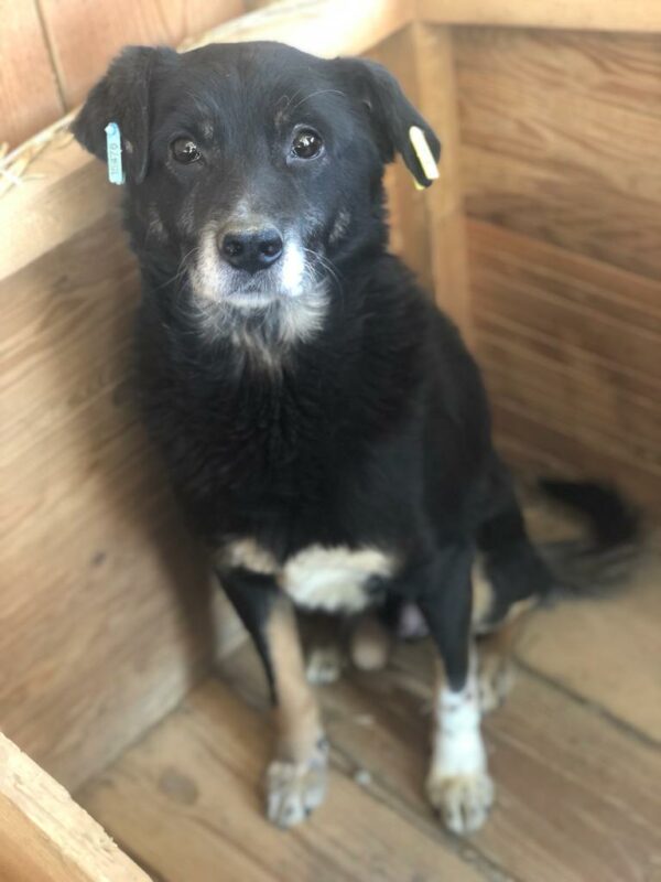 FRITZCHEN - RBB 01/23 – Bild 3