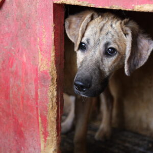 FABI (⚤) - vermisst 10/24