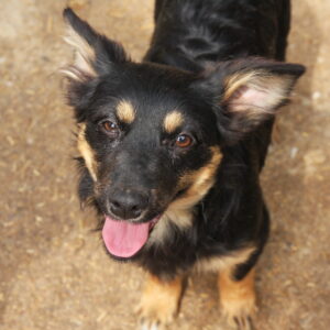 TINNY - reserviert VPS vermittelt