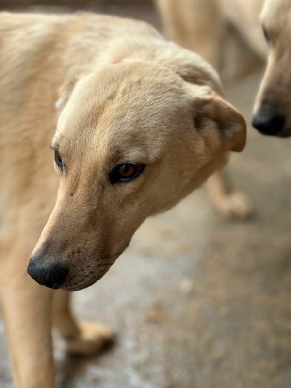 ENIE (♀) – Bild 9