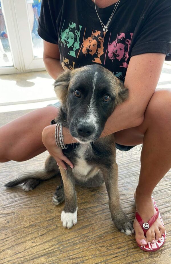 BIMBA - vor Ort vermittelt