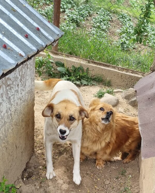 LILO – Bild 2