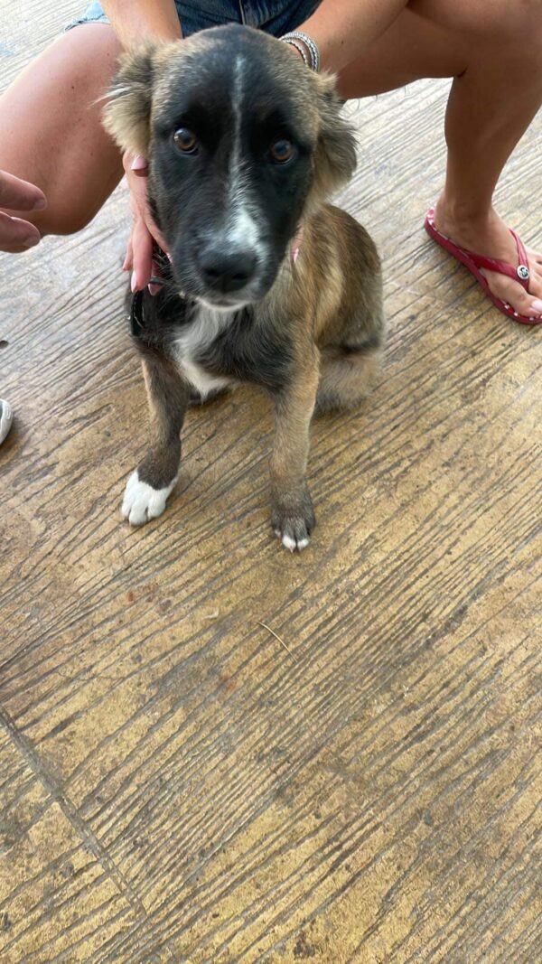 BIMBA - vor Ort vermittelt – Bild 2