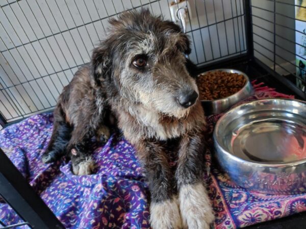 RINAH - reserviert TH Wannigsmühle vermittelt – Bild 4