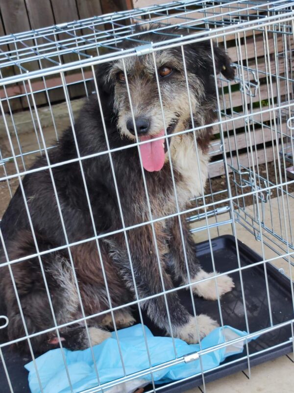 RINAH - reserviert TH Wannigsmühle vermittelt – Bild 5