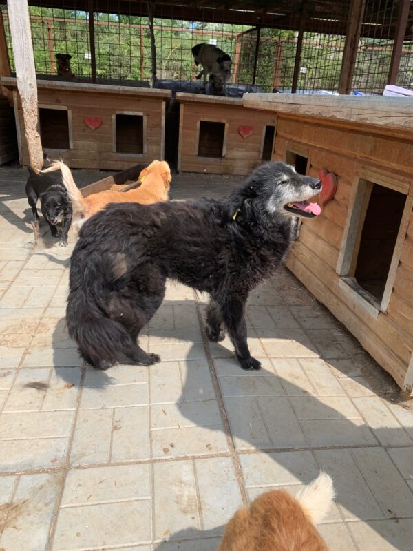 ALETTA - RBB 09/2022 – Bild 5