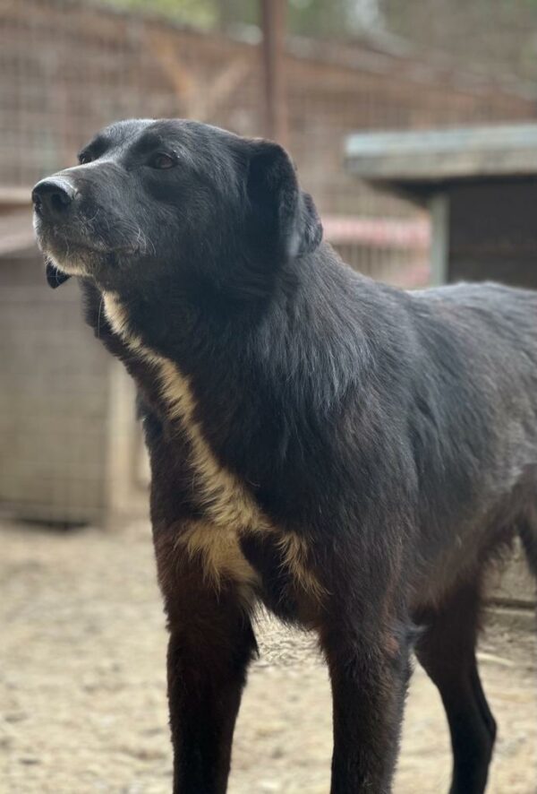 INDRA (♀) – Bild 8