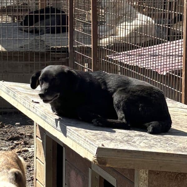 TRUDI (♀) – Bild 5