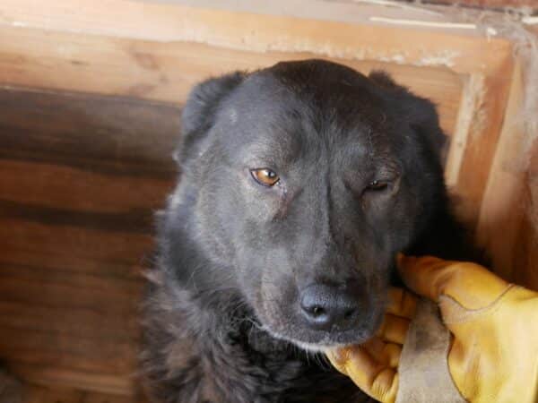 ROBA – Bild 9