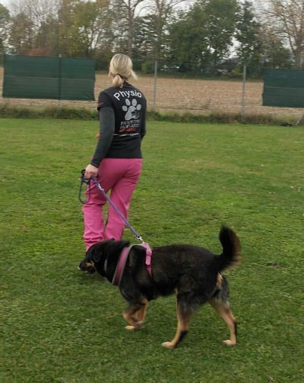 ARANJA - Gnadenplatzhund seit 04.02.2022 - RBB 06/2025 – Bild 2