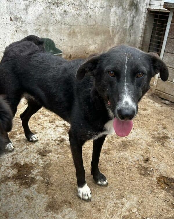 MARLA (♀) – Bild 3
