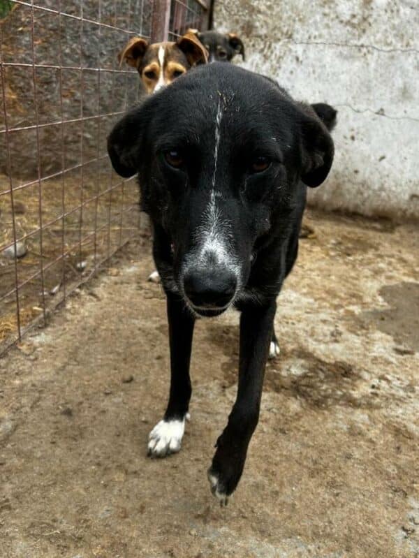 MARLA (♀) – Bild 4