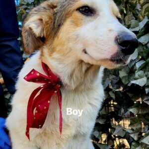 TOKALA (= BENNY )
