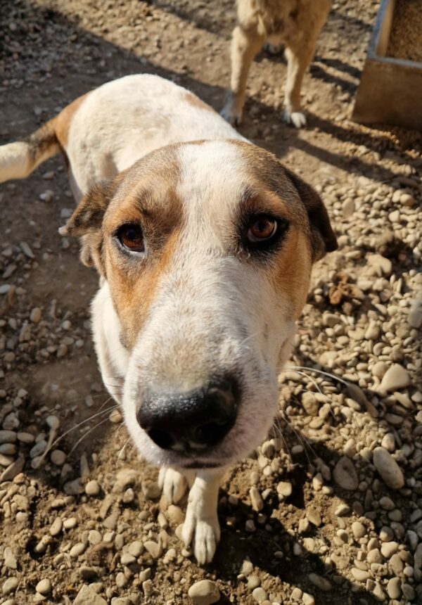 PIT -  vermittelt MH – Bild 18