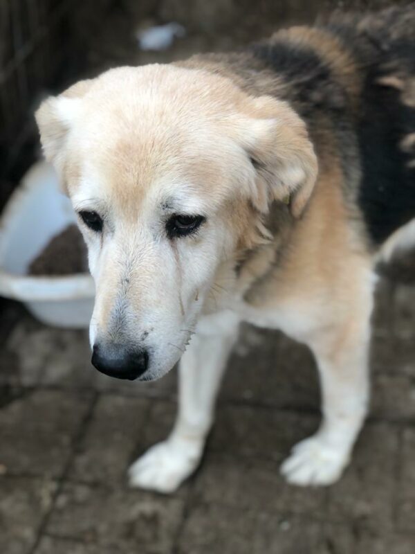 ADDO - RBB 12.12.2022 – Bild 2