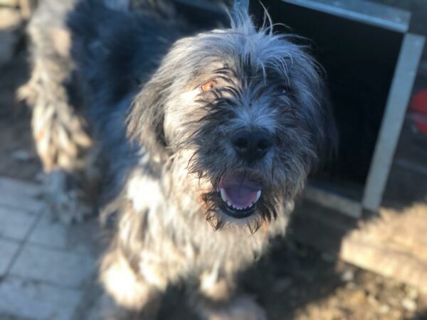 WICKET - vermisst 11/24 – Bild 8