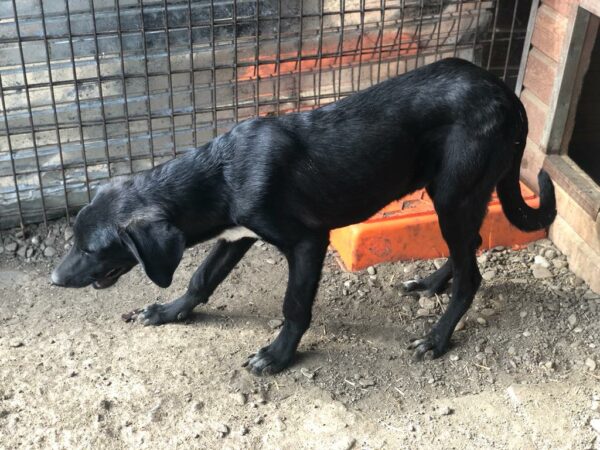 BENNY - RBB 27.11.2022 – Bild 3