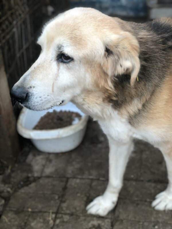 ADDO - RBB 12.12.2022 – Bild 3