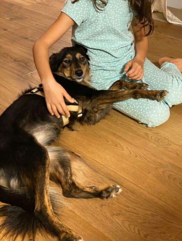 Tilly in 69123 Heidelberg *vermittelt* – Bild 9