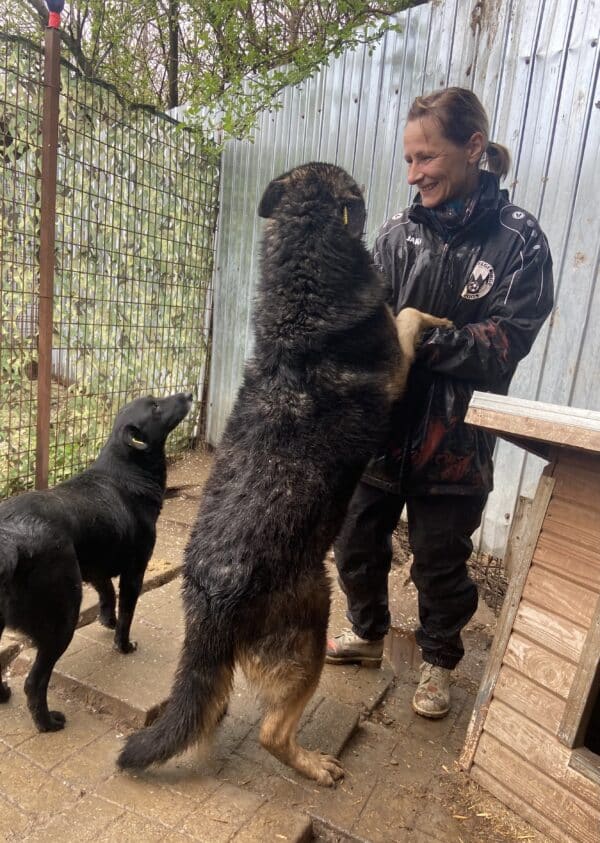 LILLA - seelischer Notfall - reserviert Betty  - vermittelt – Bild 6