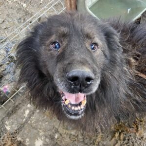 SAMIR - vermisst 11/24